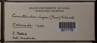 Image Associated With the Occurence